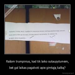 Rašom trumpinius, kad tik laiko sutaupytumėm, - bet gal laikas pagalvoti apie gimtąją kalbą?
