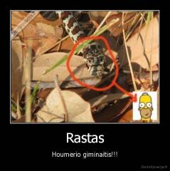 Rastas - Houmerio giminaitis!!!