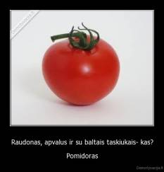 Raudonas, apvalus ir su baltais taskiukais- kas? - Pomidoras