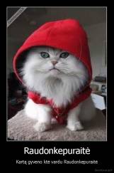 Raudonkepuraitė - Kartą gyveno ktė vardu Raudonkepuraitė