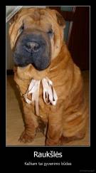 Raukšlės - Kažkam tai gyvenimo būdas