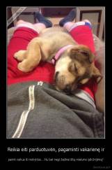 Reikia eiti parduotuvėn, pagaminti vakarienę ir - paimt vaikus iš mokyklos... Nu bet negi žadinsi šitą mielumo įsikūnijimą?