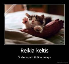 Reikia keltis - Ši diena pati šūdina netaps