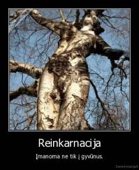 Reinkarnacija - Įmanoma ne tik į gyvūnus.