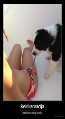 Reinkarnacija - paaiškina daug dalykų