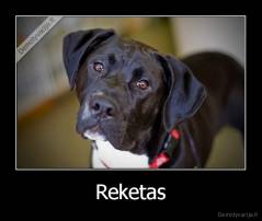 Reketas - 