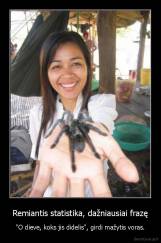 Remiantis statistika, dažniausiai frazę - "O dieve, koks jis didelis", girdi mažytis voras.