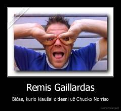 Remis Gaillardas - Bičas, kurio kiaušai didesni už Chucko Norriso