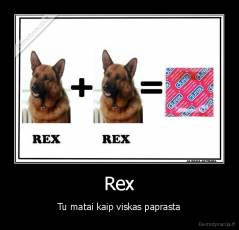 Rex - Tu matai kaip viskas paprasta