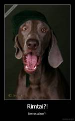 Rimtai?! - Nebus alaus?!