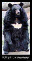 Rolling in the deeeeeeep! - 