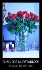 Rožės JOS NUOSTABIOS!! - Tik gaila,kad labai greit nuvysta.