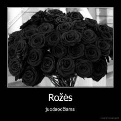 Rožės - juodaodžiams
