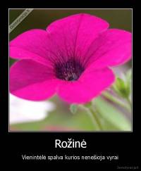 Rožinė - Vienintėlė spalva kurios nenešioja vyrai