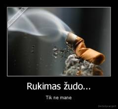 Rukimas žudo... - Tik ne mane