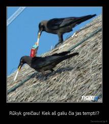Rūkyk greičiau! Kiek aš galiu čia jas tempti!? - 