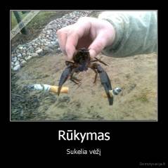 Rūkymas - Sukelia vėžį
