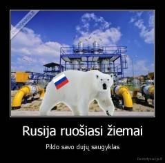 Rusija ruošiasi žiemai - Pildo savo dujų saugyklas