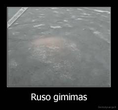 Ruso gimimas - 