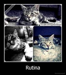 Rutina - 