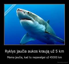 Ryklys jaučia aukos kraują už 5 km - Mama jaučia, kad tu nepavalgei už 45000 km