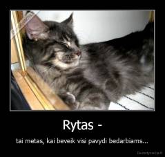 Rytas - - tai metas, kai beveik visi pavydi bedarbiams...