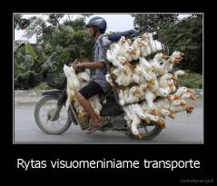 Rytas visuomeniniame transporte - 