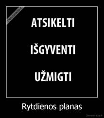 Rytdienos planas - 