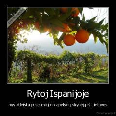 Rytoj Ispanijoje - bus atleista puse milijono apelsinų skynėjų iš Lietuvos