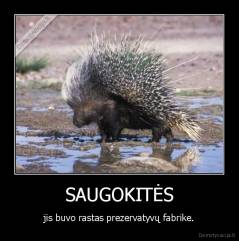 SAUGOKITĖS - jis buvo rastas prezervatyvų fabrike.