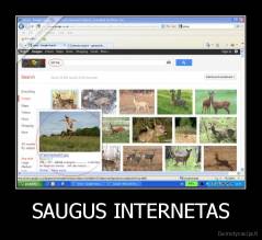 SAUGUS INTERNETAS - 