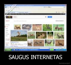 SAUGUS INTERNETAS - 
