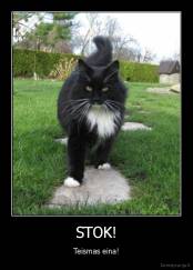 STOK! - Teismas eina!