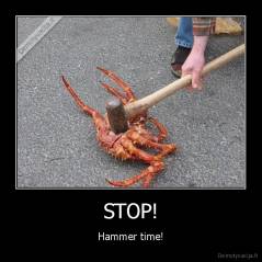 STOP! - Hammer time!