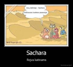 Sachara - Rojus katinams