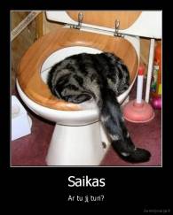 Saikas - Ar tu jį turi?