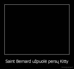 Saint Bernard užpuolė persų Kitty - 