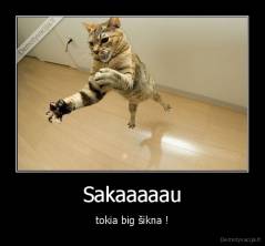 Sakaaaaau - tokia big šikna !
