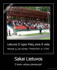 Sakai Lietuvos - O kieno vėliava plėvesuoja?