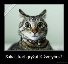 Sakai, kad gryžai iš žvejybos? - 