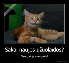 Sakai naujos užuolaidos? - Gerai, aš jas saugosiu!