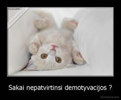 Sakai nepatvirtinsi demotyvacijos ? - 