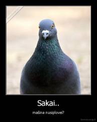 Sakai.. - mašina nusiplovei?