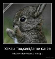 Sakau Tau,seni,tame darže - mačiau va toooooookia morką!!!