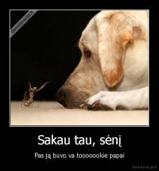 Sakau tau, sėnį - Pas ją buvo va tooooookie papai