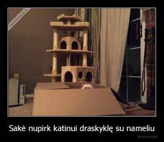 Sakė nupirk katinui draskyklę su nameliu - 