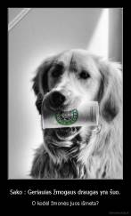 Sako : Geriauias žmogaus draugas yra šuo. - O kodėl žmonės juos išmeta?