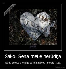 Sako: Sena meilė nerūdija - Tačiau betokiu atvėju ją galima atiduoti į metalo laužą.