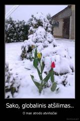 Sako, globalinis atšilimas.. - O man atrodo atvirksčiai