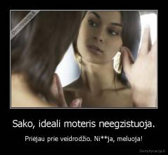 Sako, ideali moteris neegzistuoja. - Priėjau prie veidrodžio. Ni**ja, meluoja!